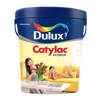 Cat Interior